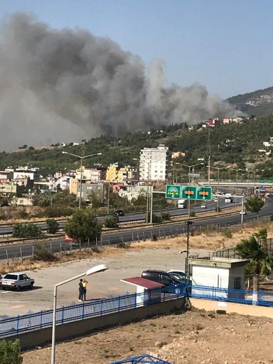 Hatay'da bir günde 4 farklı noktada orman yangını