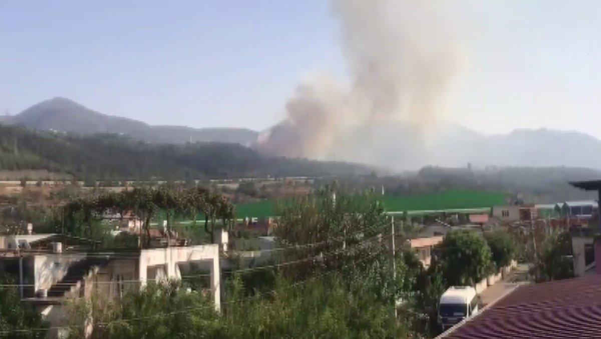 Hatay'da bir günde 4 farklı noktada orman yangını