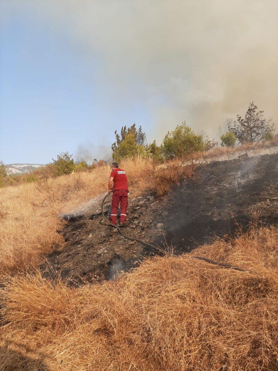 Hatay'da bir günde 4 farklı noktada orman yangını