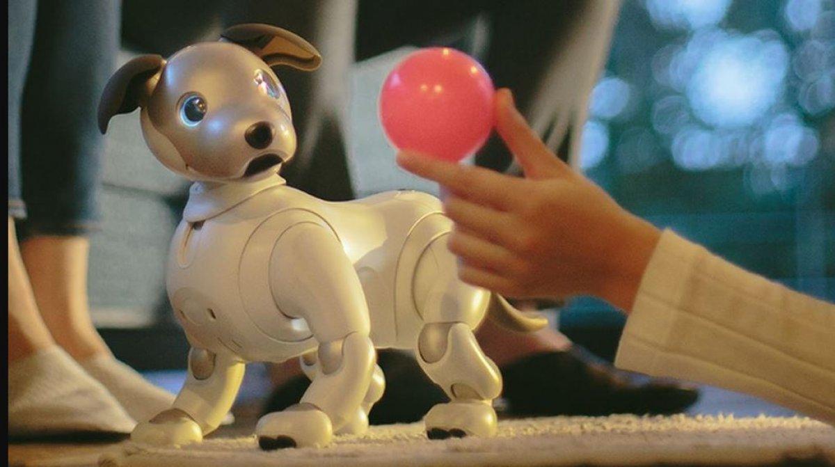 sony aibo