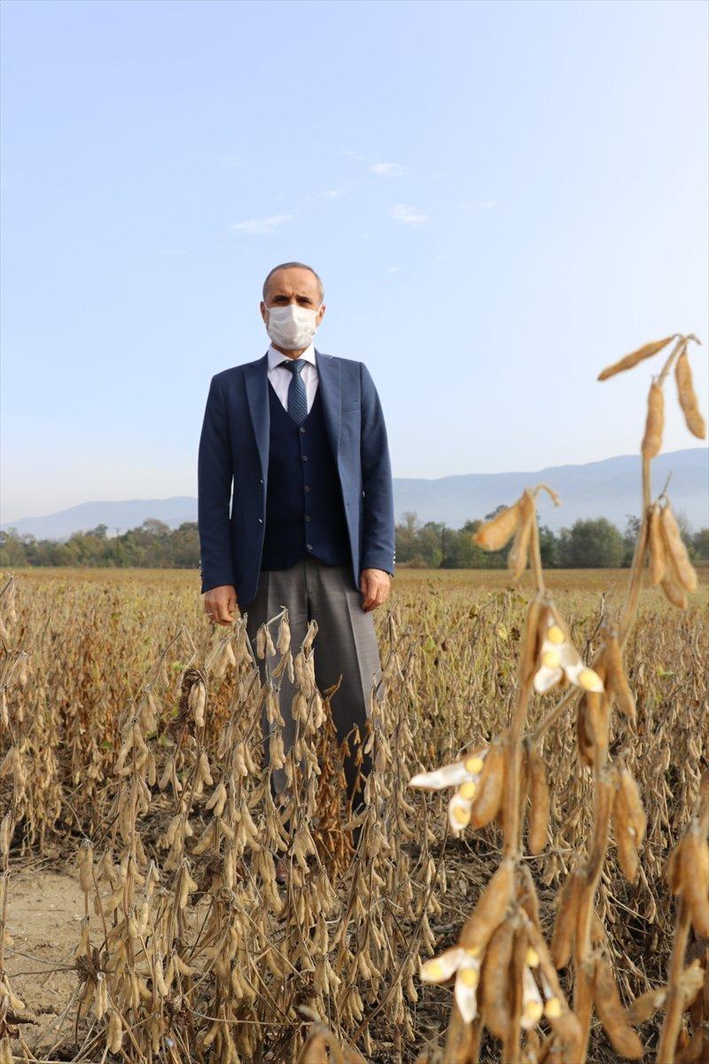 Bolu için soya fasulyesi hasadı önem taşıyor