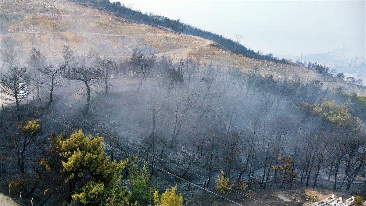 Hatay orman yangını