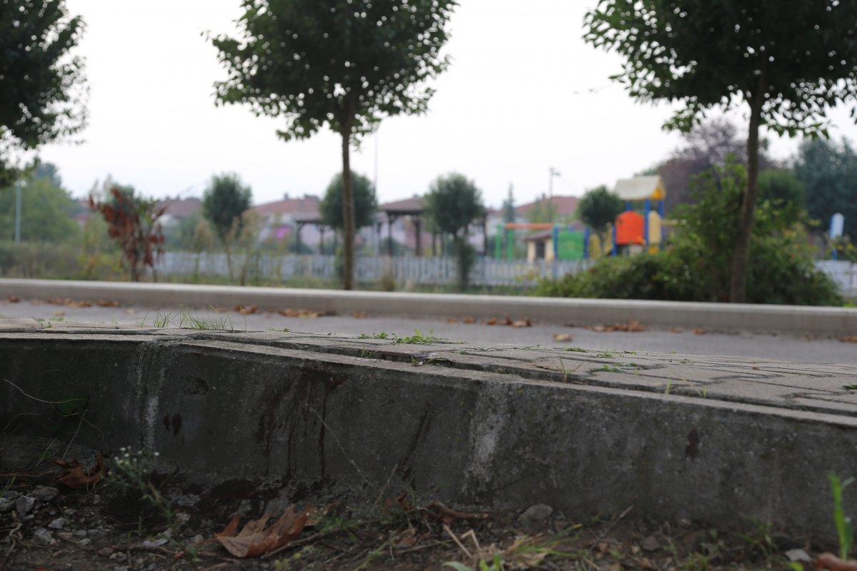 Kocaeli'de 8 yaşındaki çocuğa kangal saldırdı