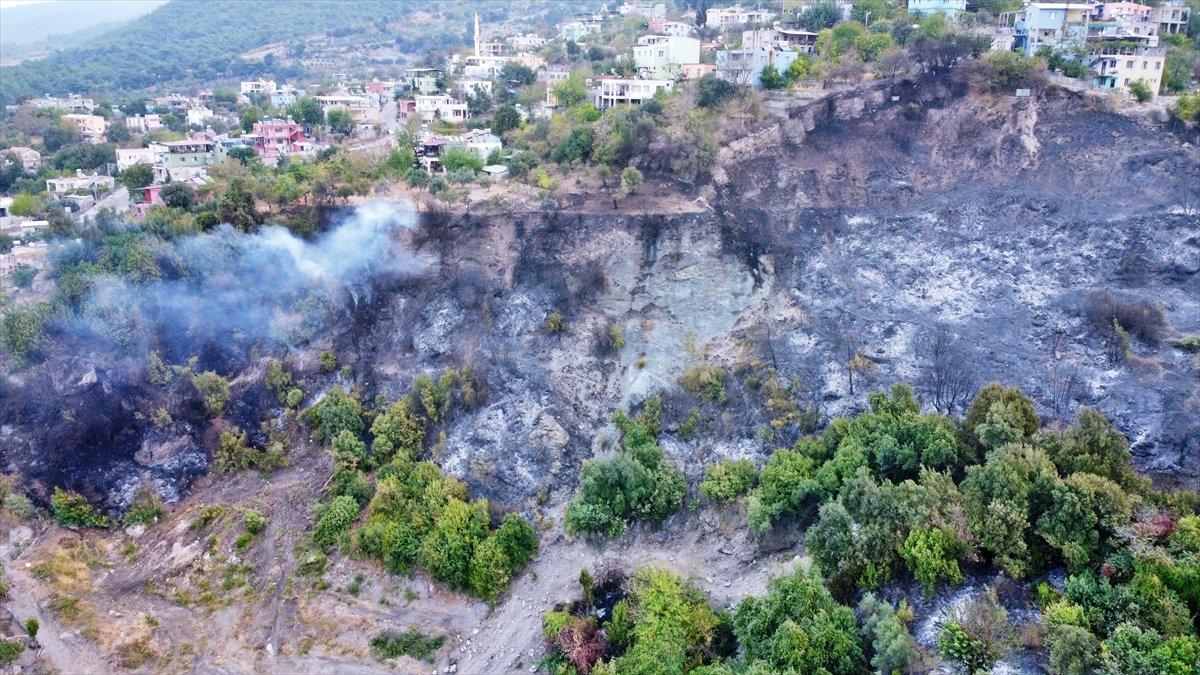 Hatay orman yangını