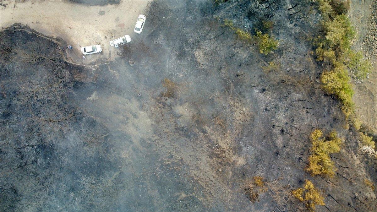 Hatay orman yangını