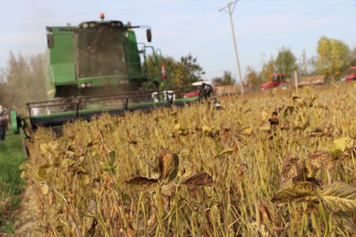 Bolu için soya fasulyesi hasadı önem taşıyor
