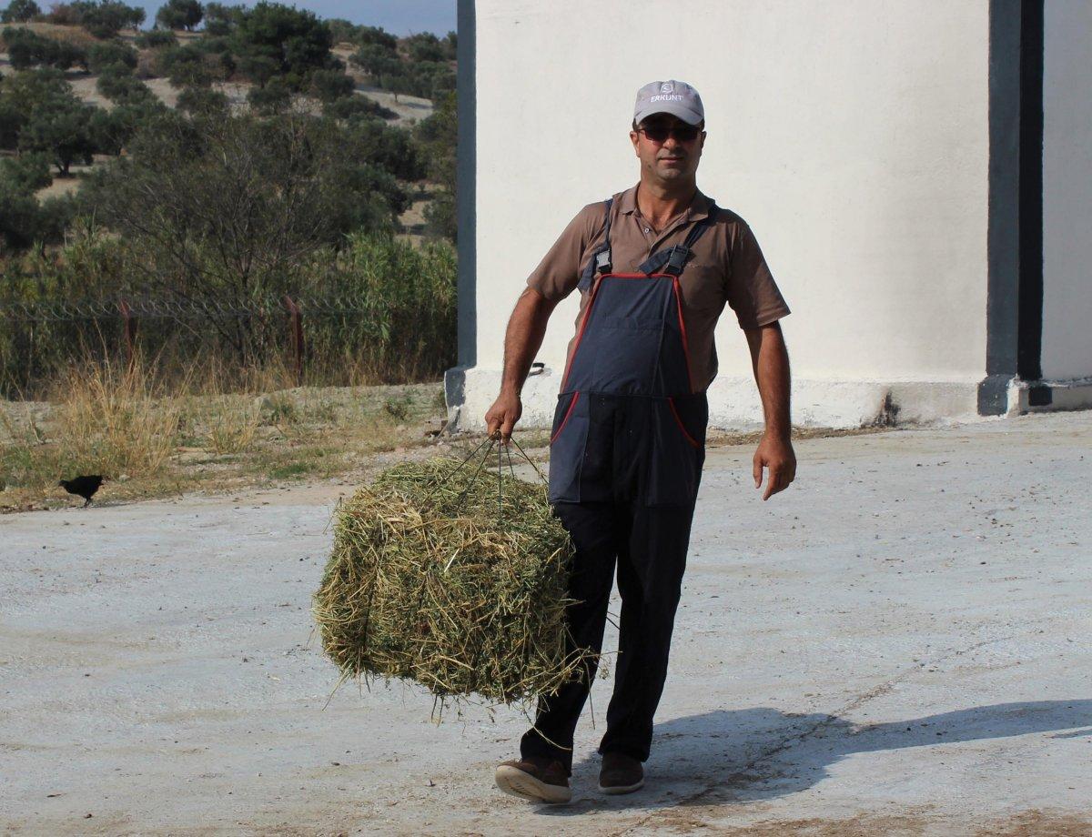 Hibe desteği aldı, işinin patronu oldu