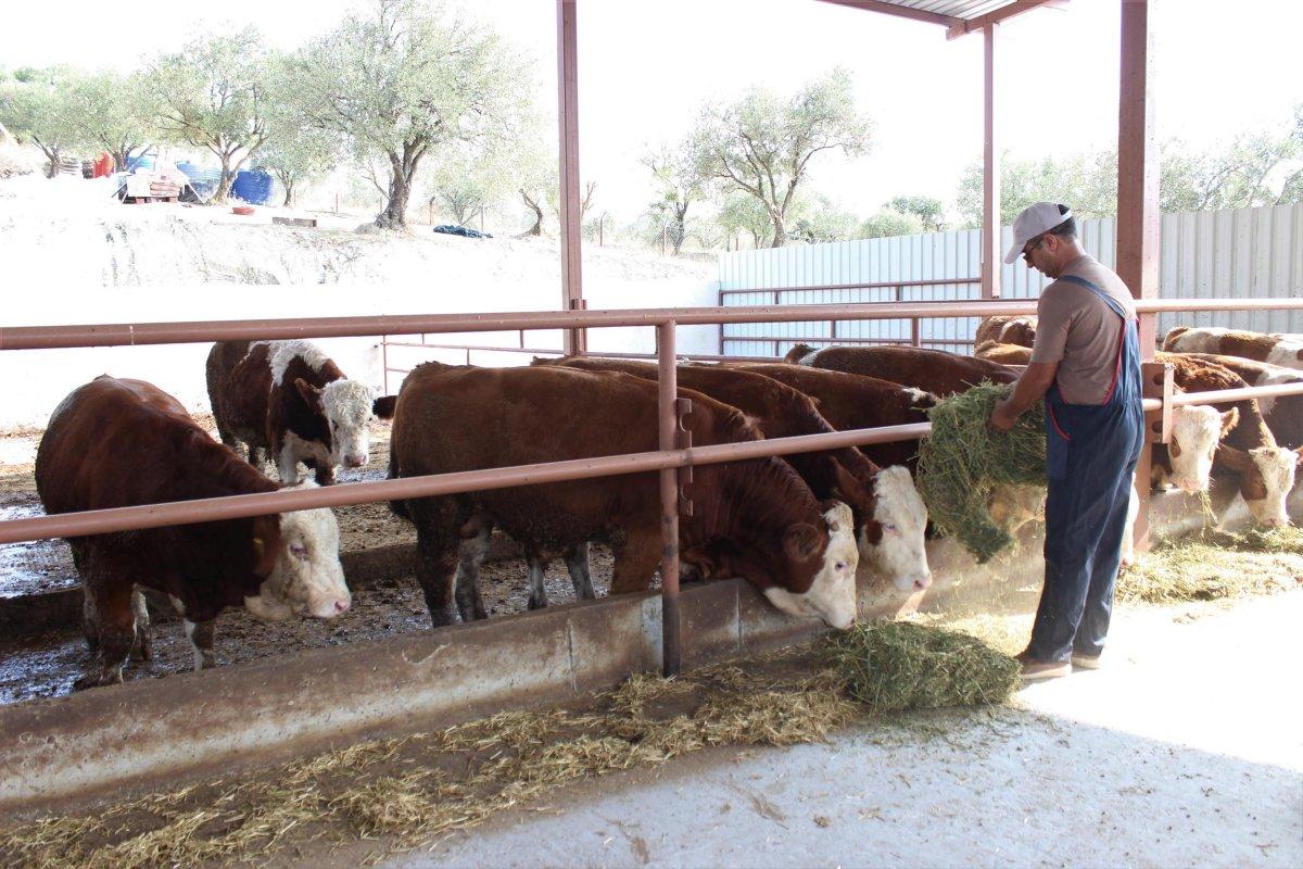 Hibe desteği aldı, işinin patronu oldu