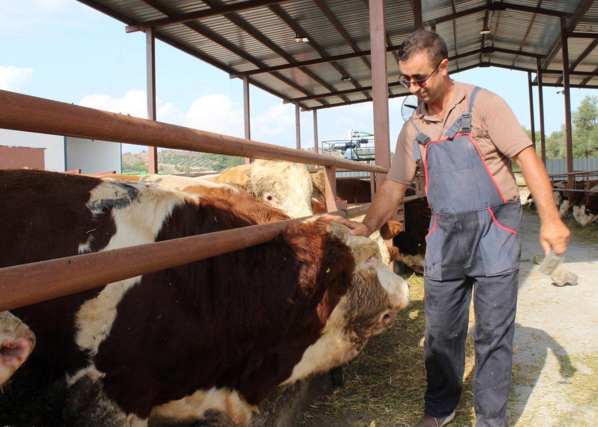 Hibe desteği aldı, işinin patronu oldu