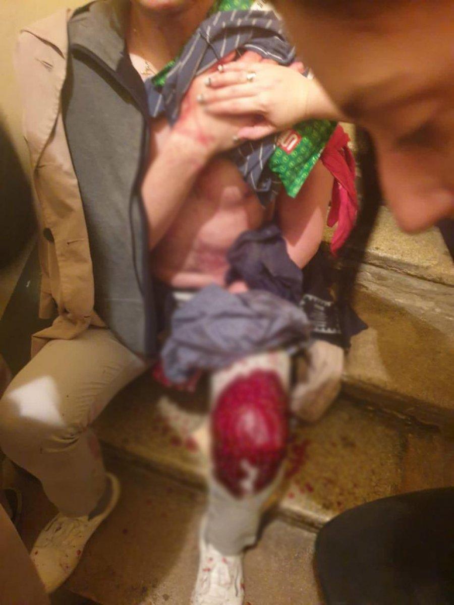 Viyana'da sinagog yakınında saldırı: Çok sayıda ölü ve yaralı var