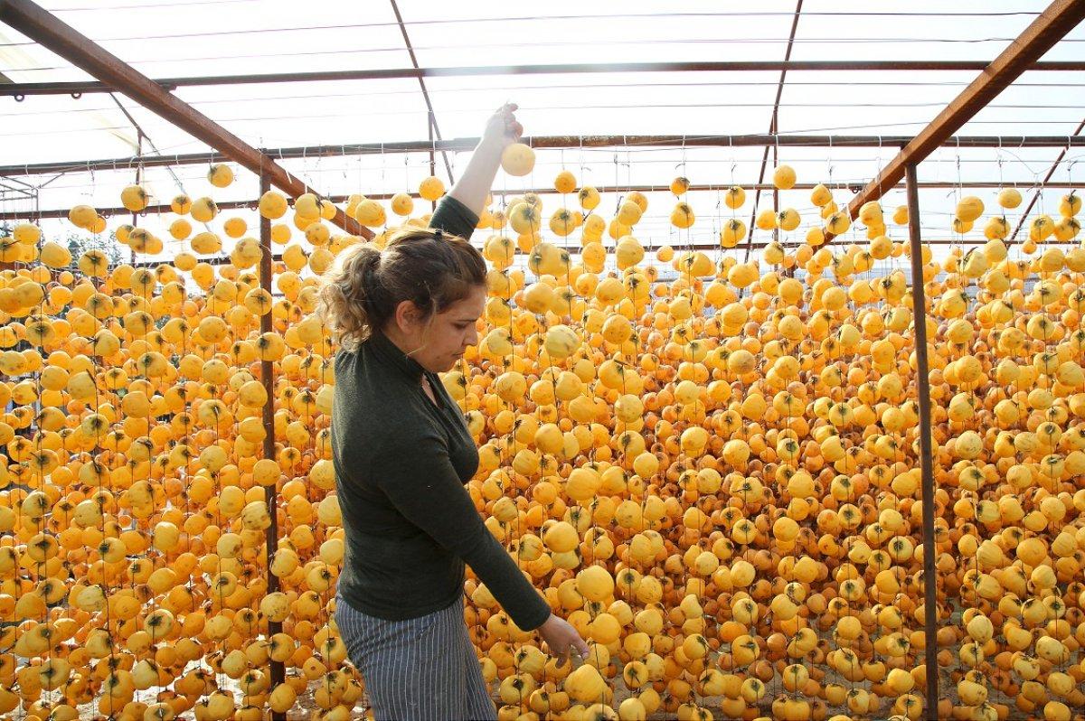 Cennet hurmasının faydaları nelerdir? Cennet hurması nasıl tüketilir?