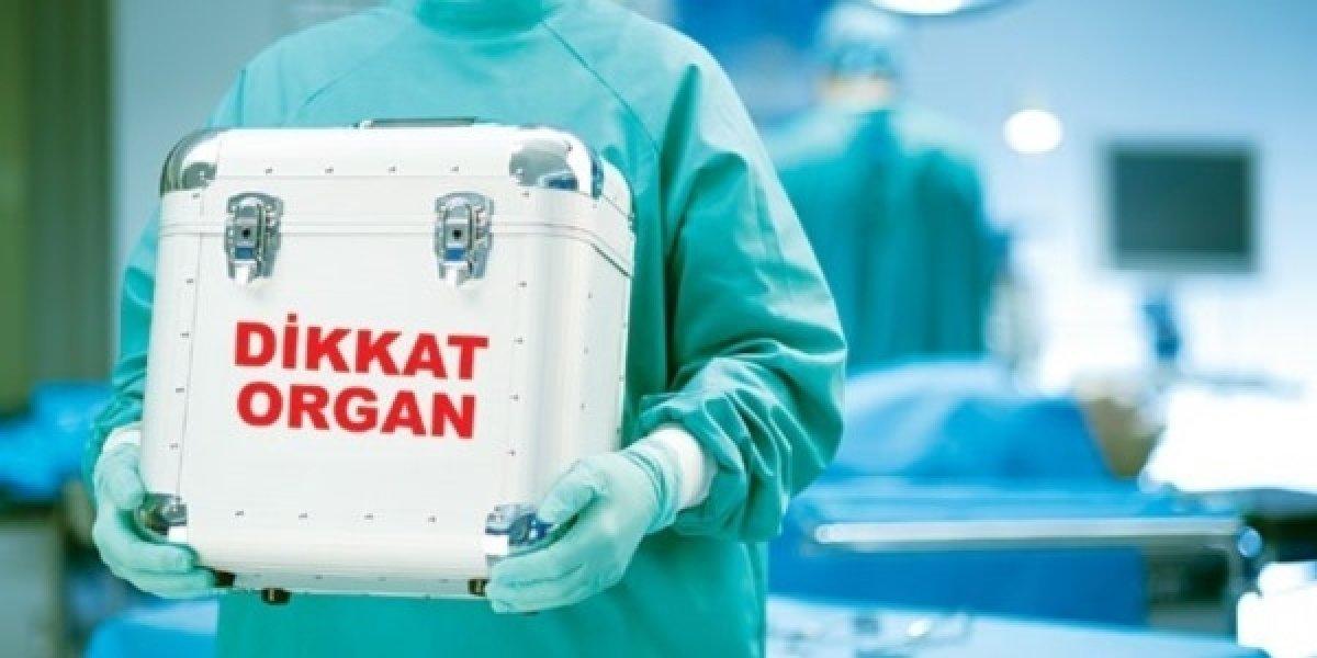 Organ Bağışı Haftası: Organ bağışı nedir, nasıl gerçekleştirilir? Organ bağışı şartları nelerdir?