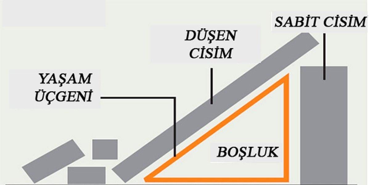 Hayat üçgeni nedir