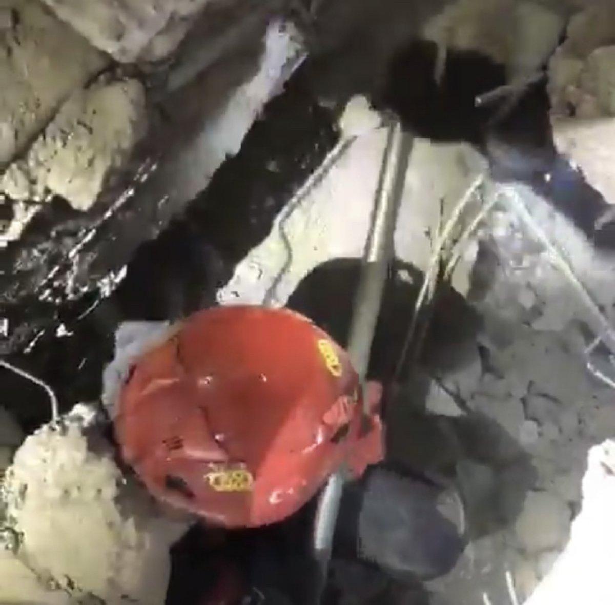 İzmir’de 102 saat sonra bir kedi enkazdan sağ kurtarıldı