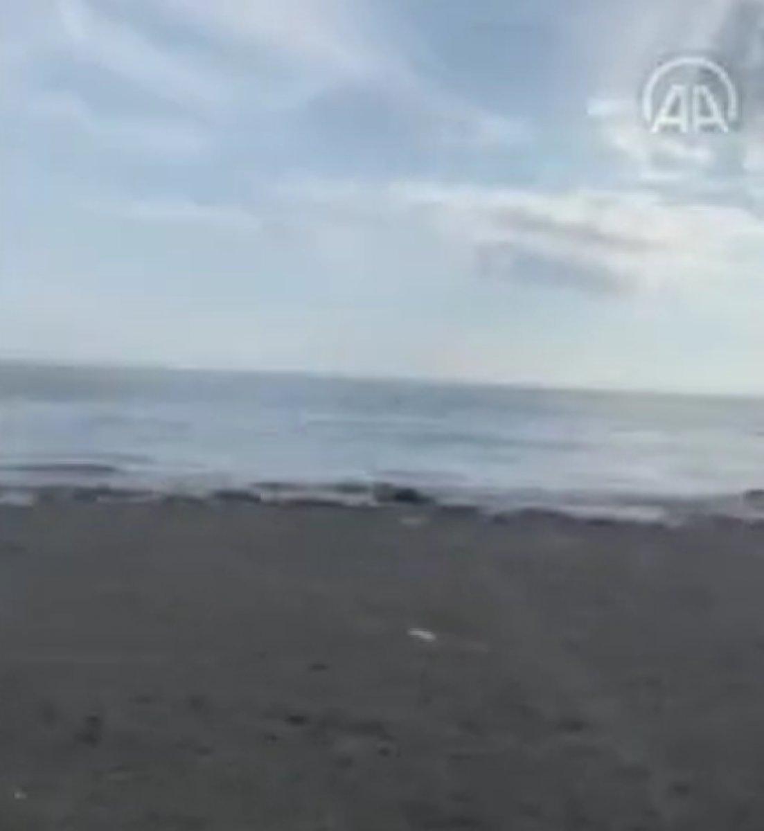 Deprem sırasında Seferihisar'da oluşan dalgalardan kaçan kişiler