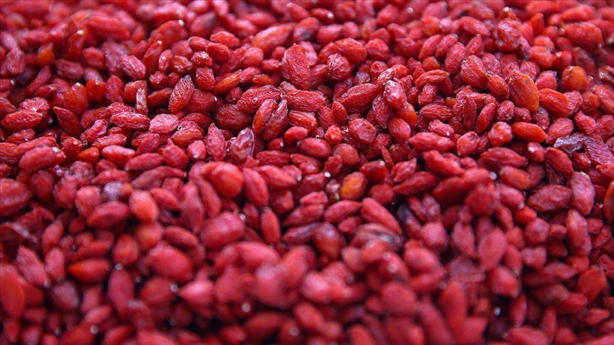 Goji Berry nedir, faydaları nelerdir? Goji Berry meyvesi nasıl tüketilmelidir?