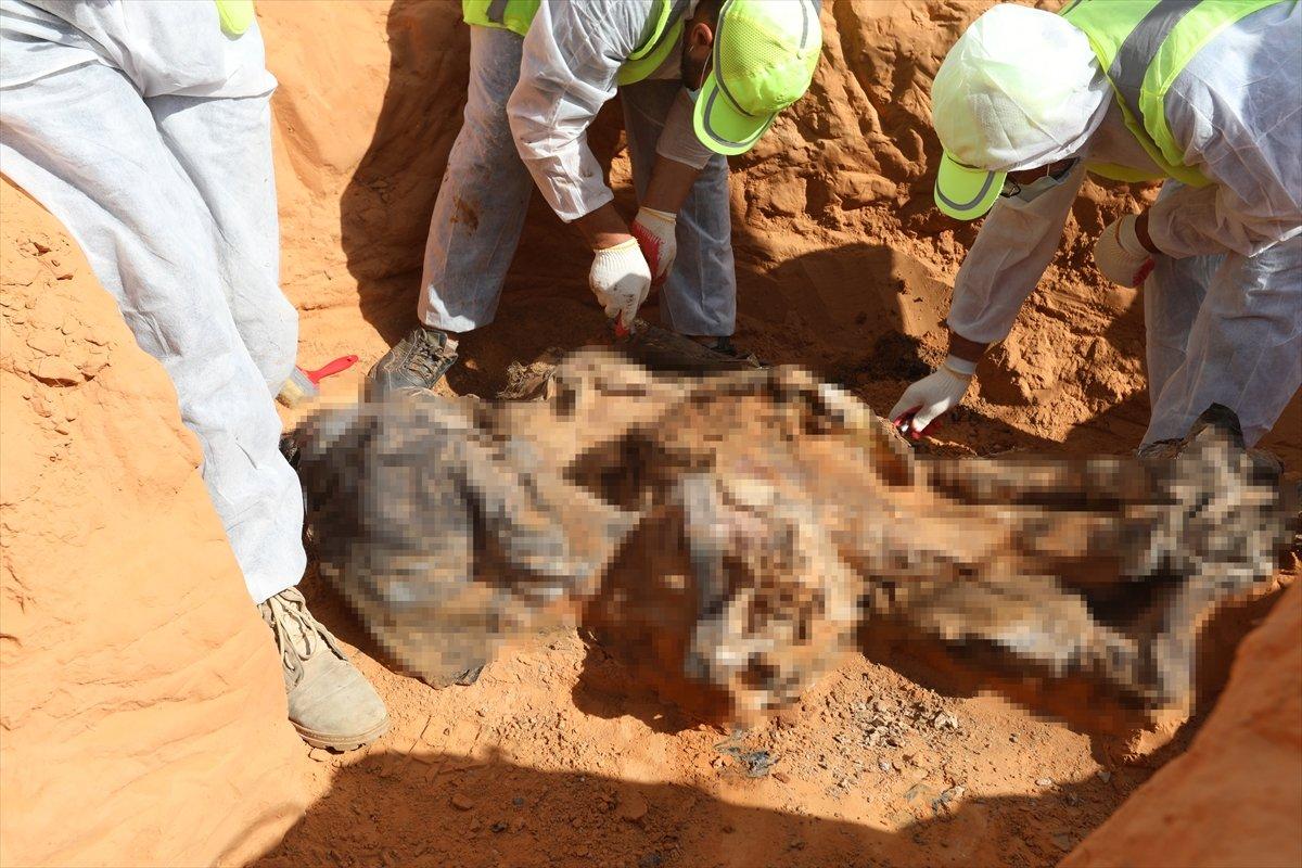 Terhune’de yeni cesetler çıkıyor