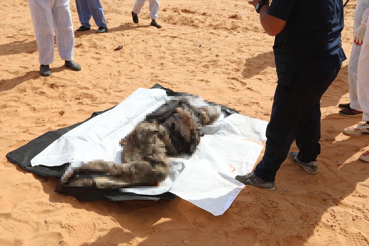 Terhune’de yeni cesetler çıkıyor