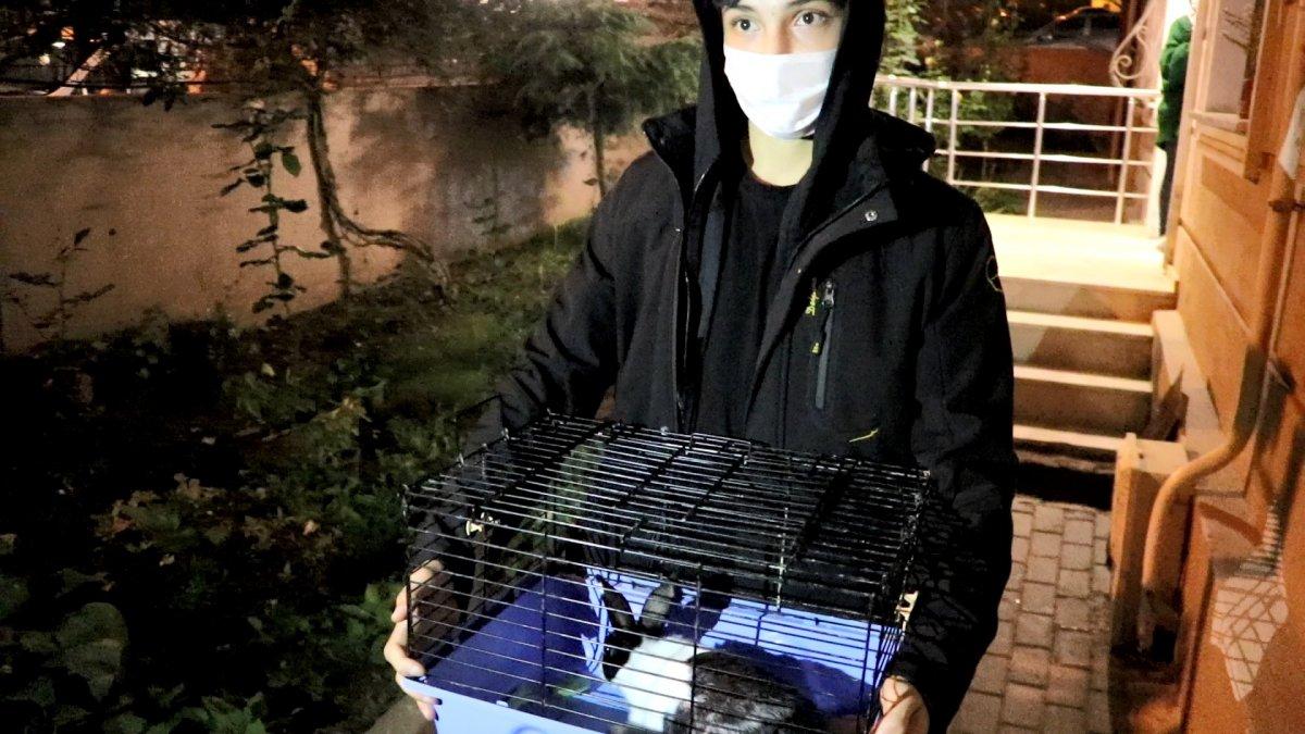 Kocaeli'de doğalgaz boru hattında çatlak meydana geldi