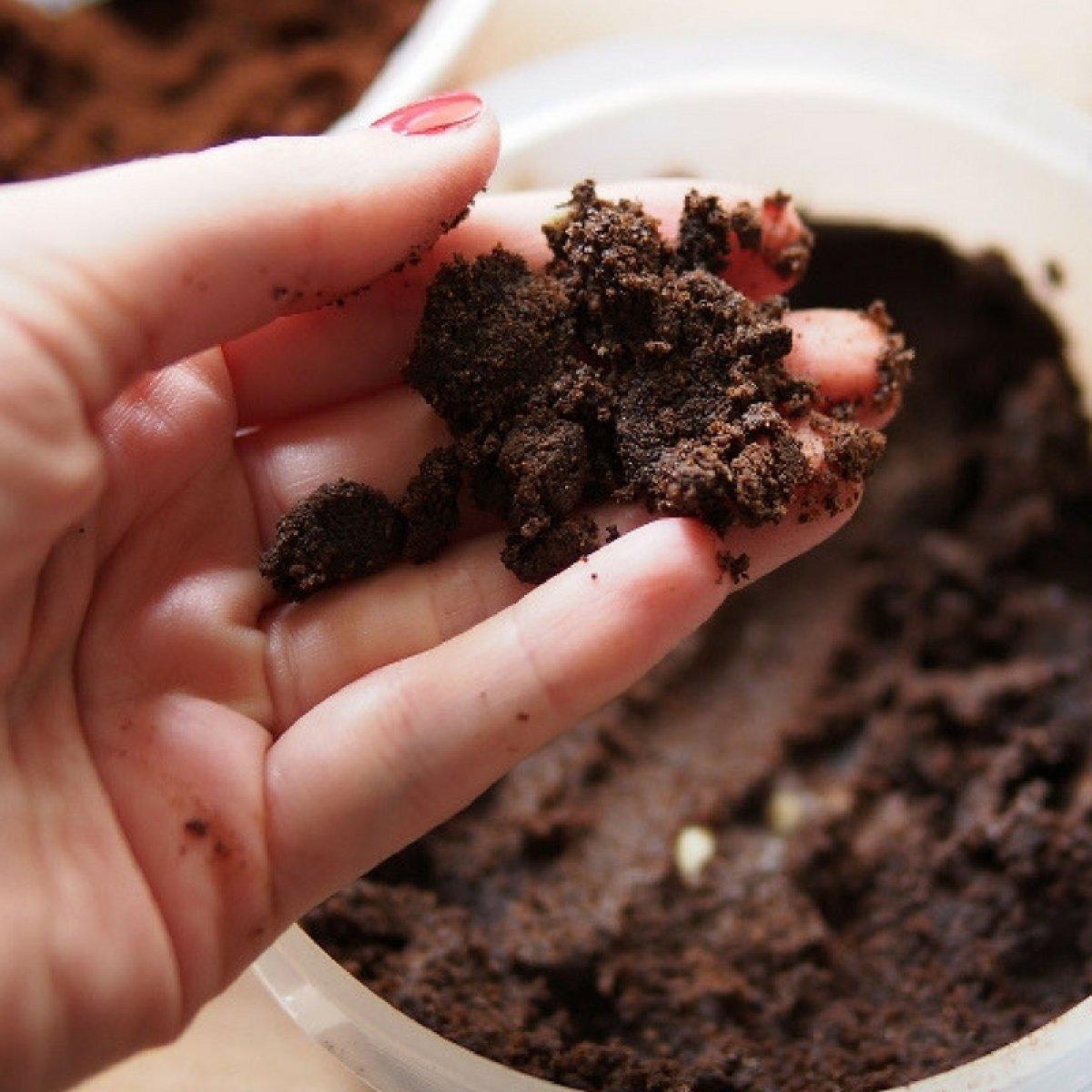Evdeki balık kokusu nasıl geçer? Mutfağa sinen balık kokusundan kurtulma yöntemleri