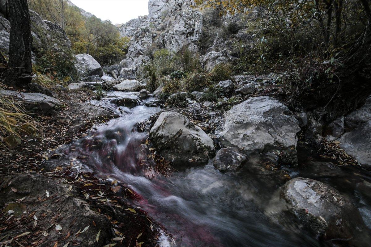 Ankara’daki Kıbrıs Köyü Kanyonu’nda sonbahar güzelliği