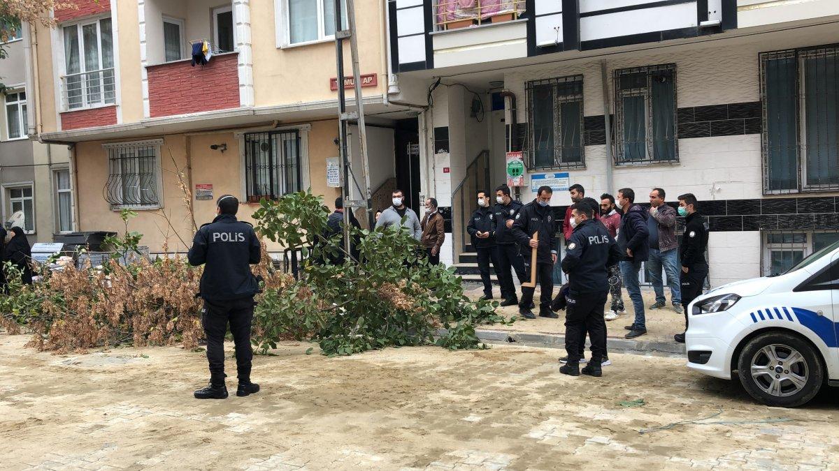 Esenyurt ağaç kavga