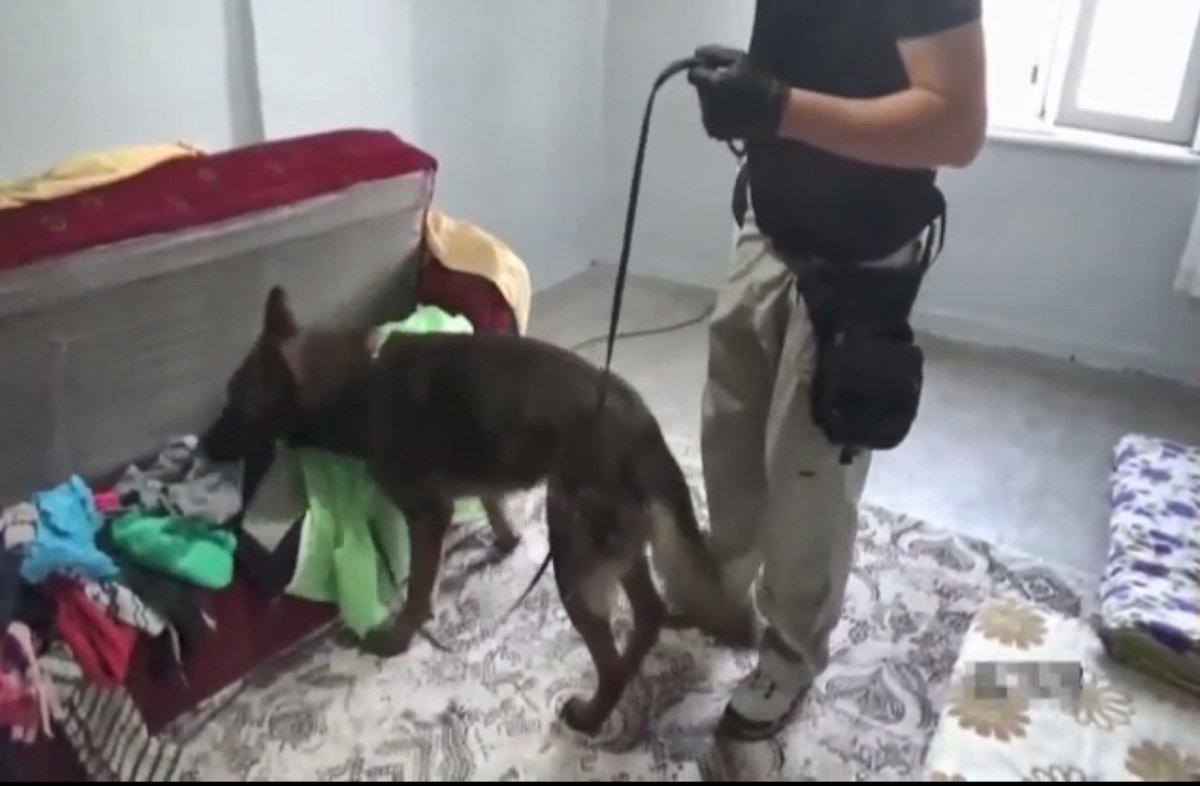 Diyarbakır'da vakumlu poşette 77 kilo esrar ele geçirildi