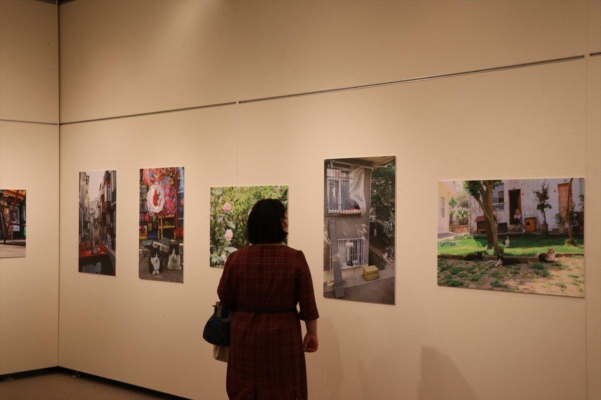 Tokyo’da 'Türk Kedisi' fotoğraf sergisi