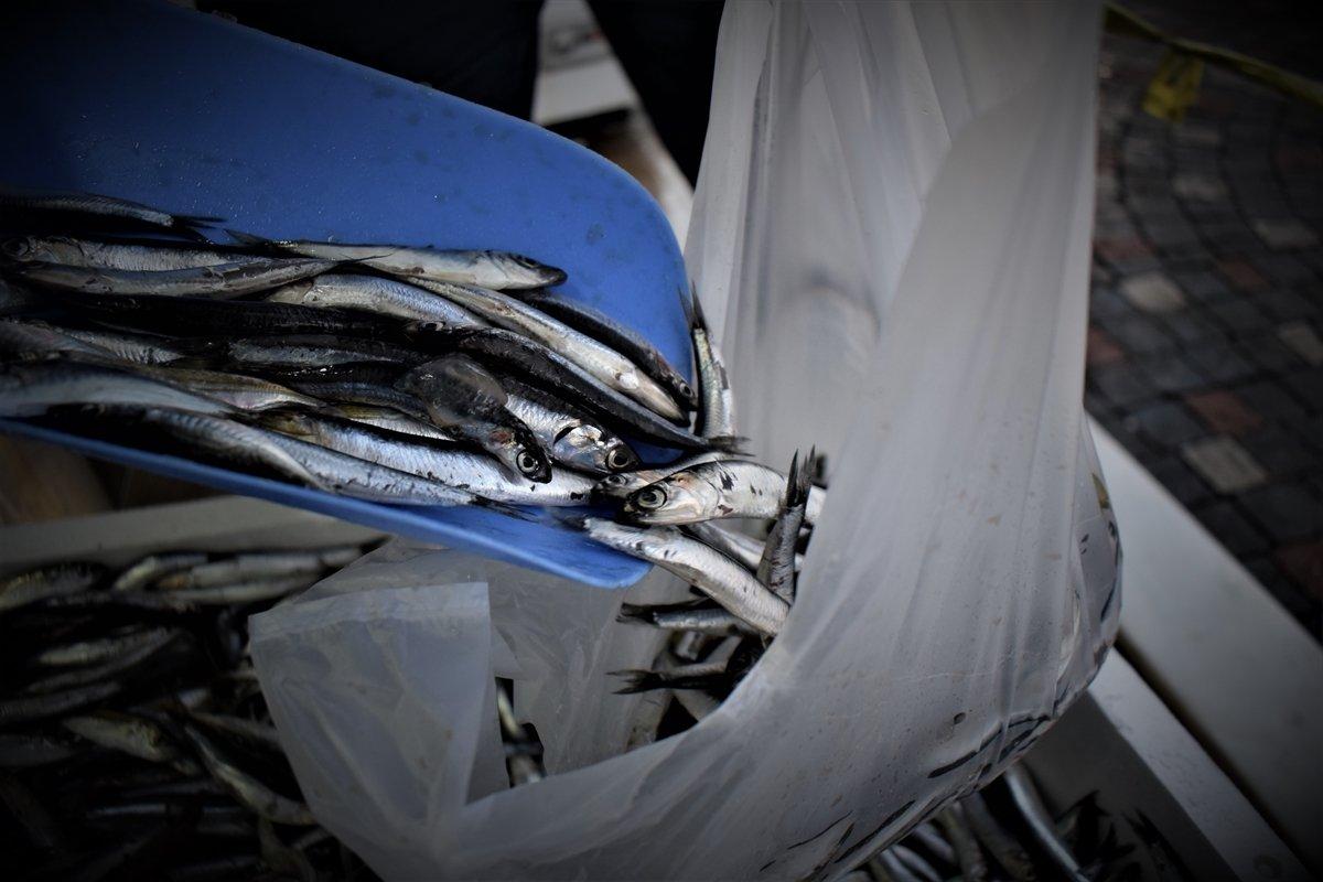 Hamsi, tezgahların yeni gözdesi oldu