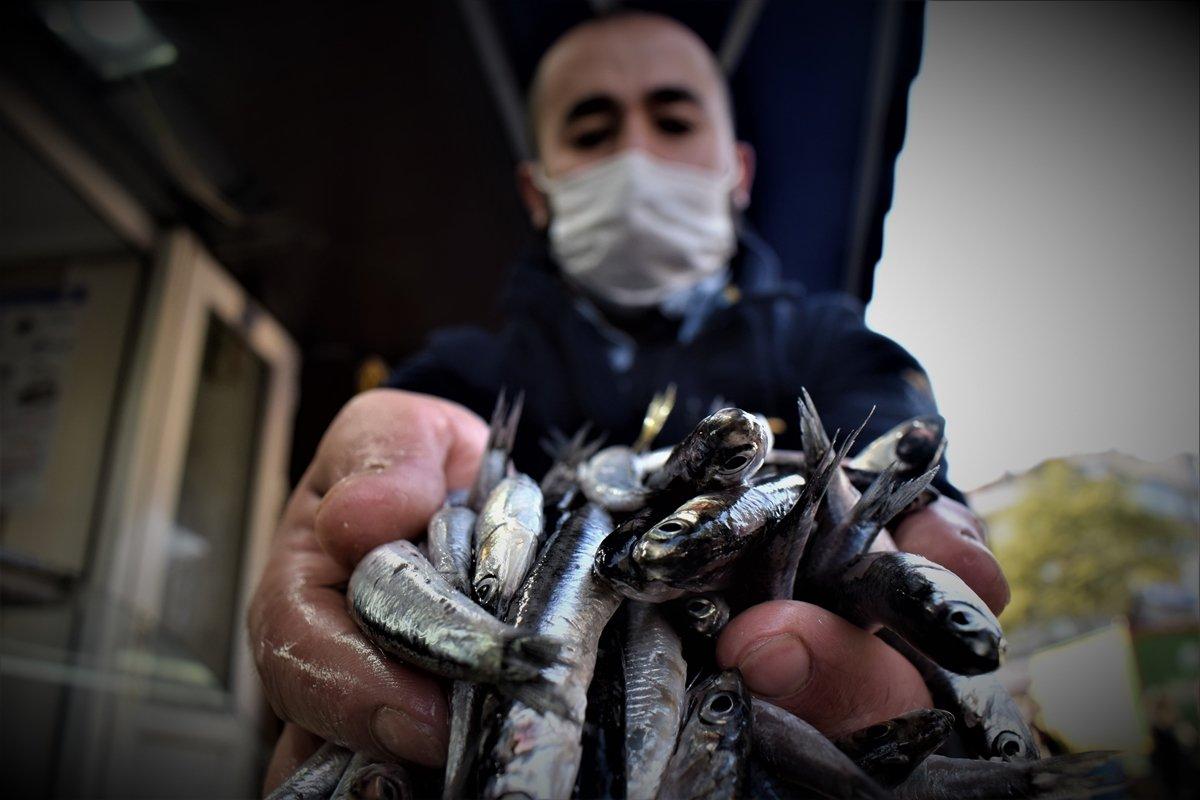 Hamsi, tezgahların yeni gözdesi oldu