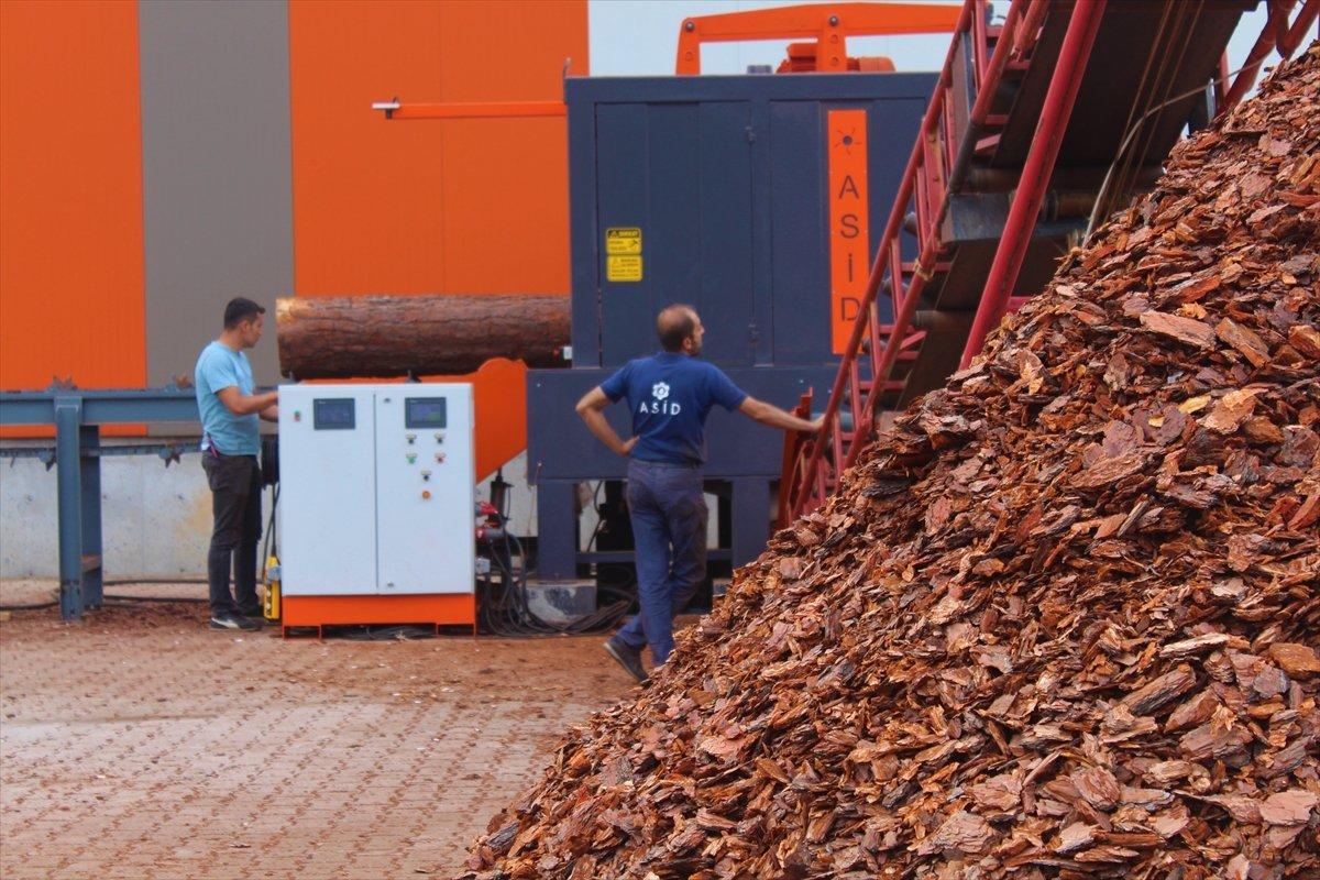 Burdur'da kızılçam ağacının kabuklarını soyan makine üretildi