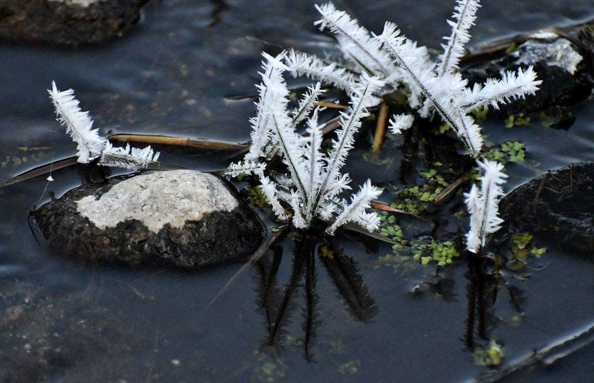 Soğuk hava, Doğu'da etkisini gösterdi