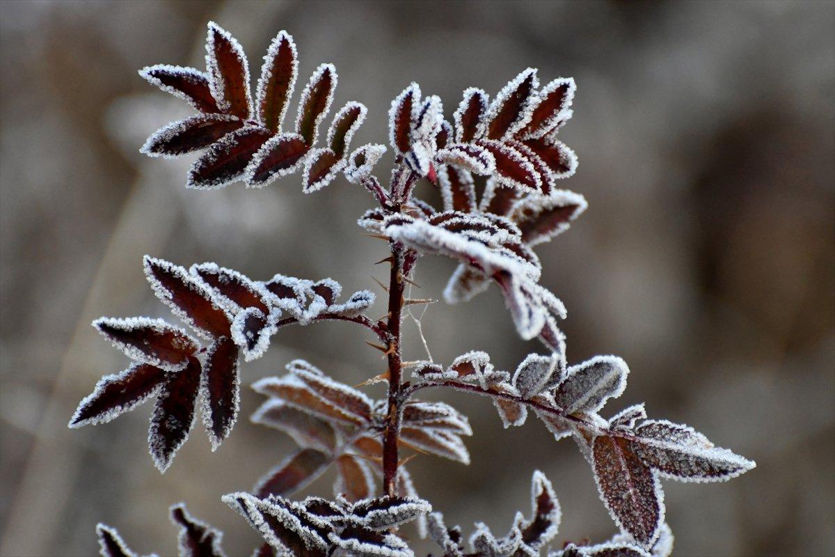 Soğuk hava, Doğu'da etkisini gösterdi
