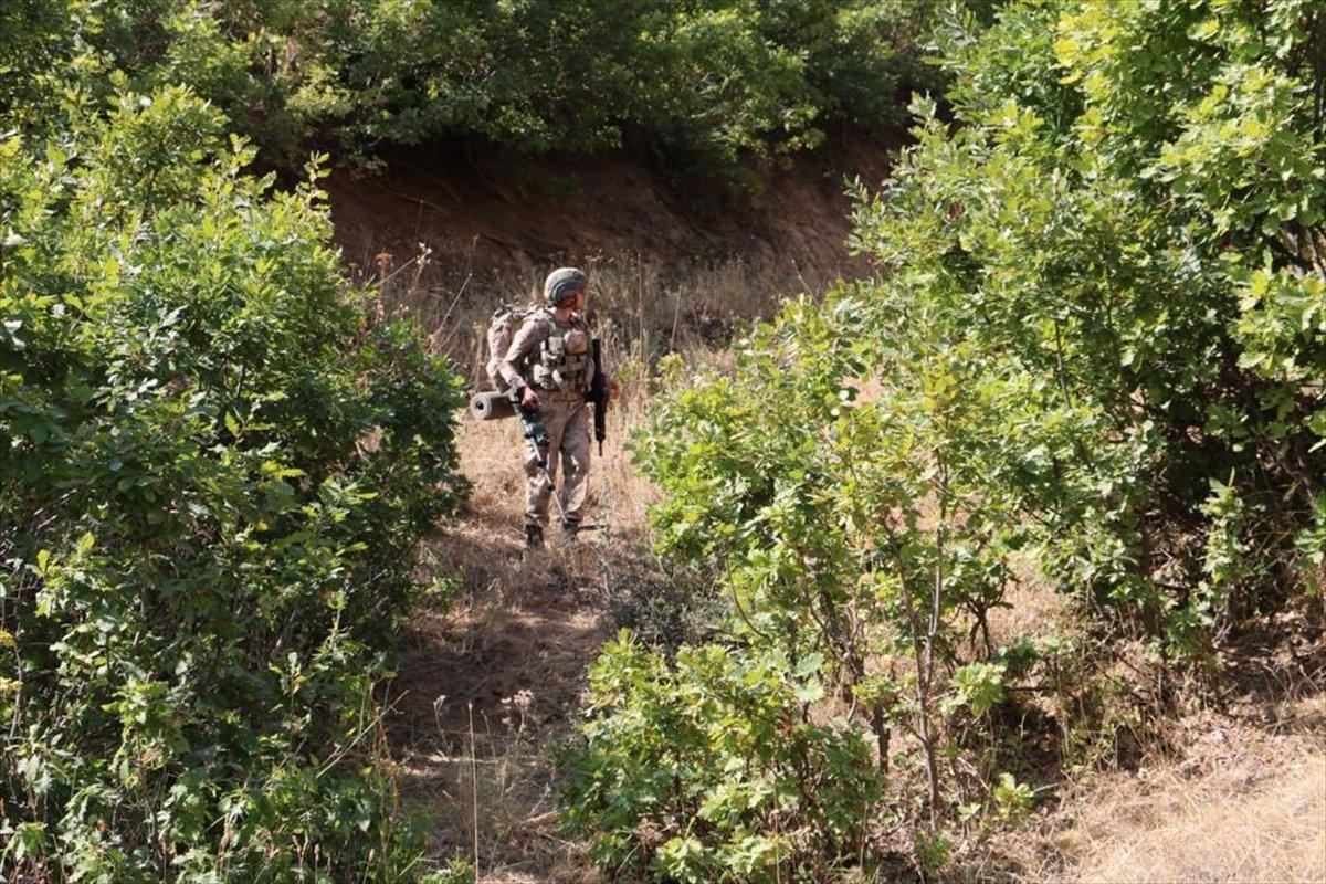 Bitlis'te, 'Yıldırım-15 Mutki-Sarpkaya' operasyonu başlatıldı