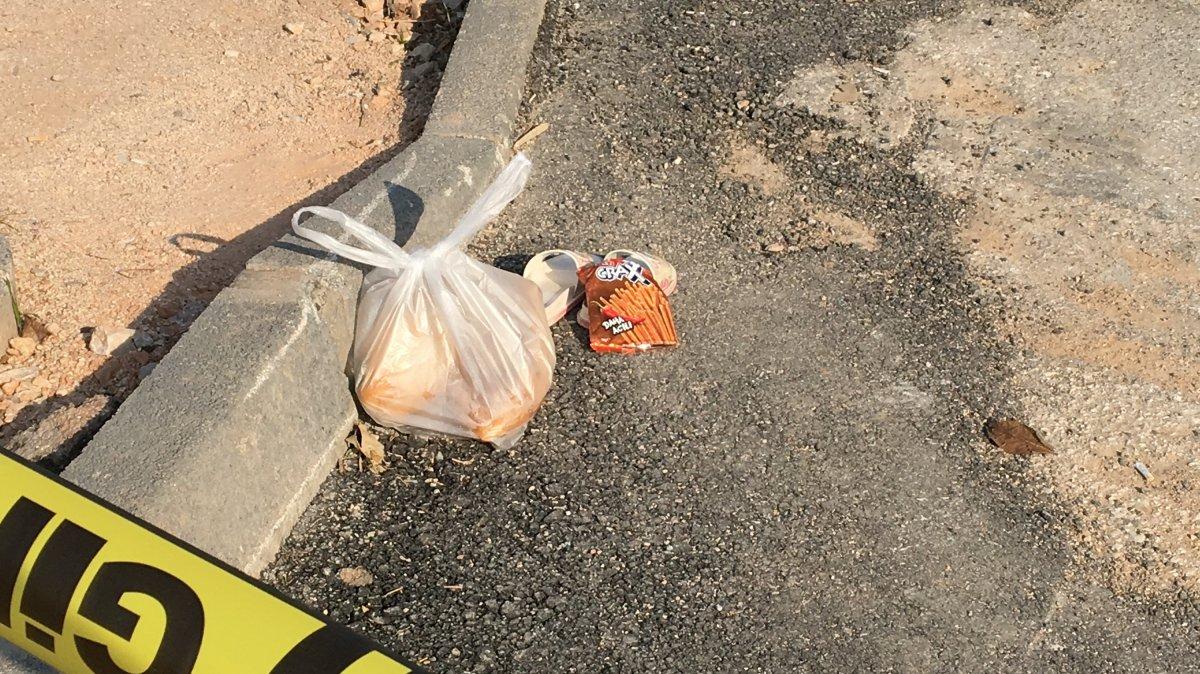 Bursa'da 17 yaşındaki sürücünün çarptığı Zeynep yaşamını yitirdi