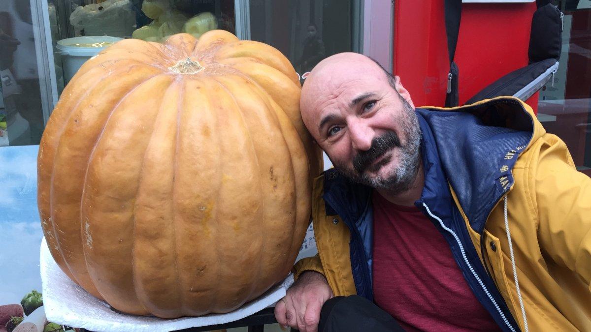 Artvin’de dev kabak sahibini bekliyor: Kilosunu bilene hediye edilecek