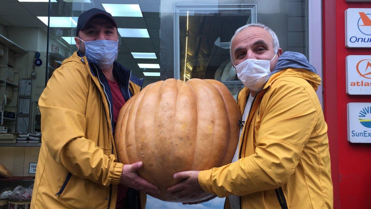 Artvin’de dev kabak sahibini bekliyor: Kilosunu bilene hediye edilecek