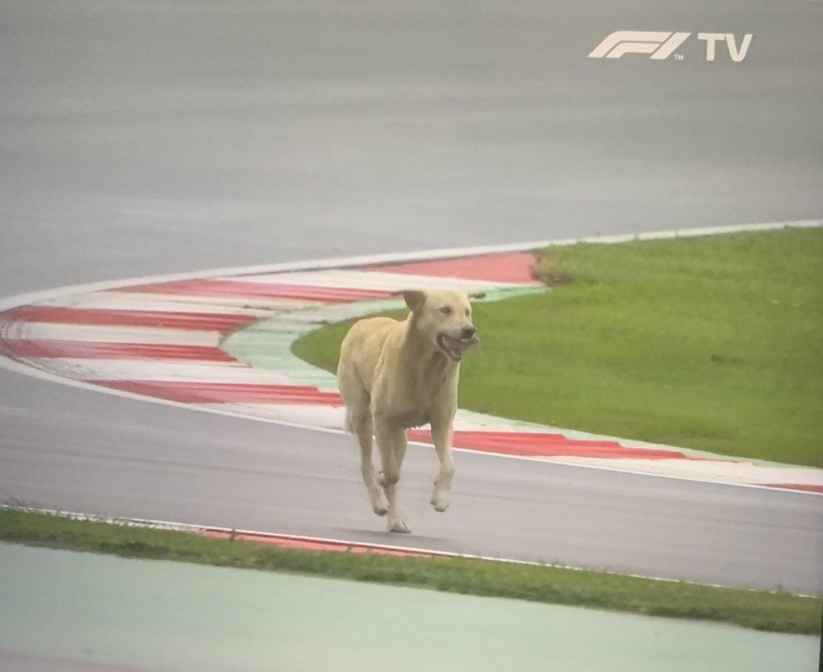 Formula 1 pilotları yağışlı havada zorlandı