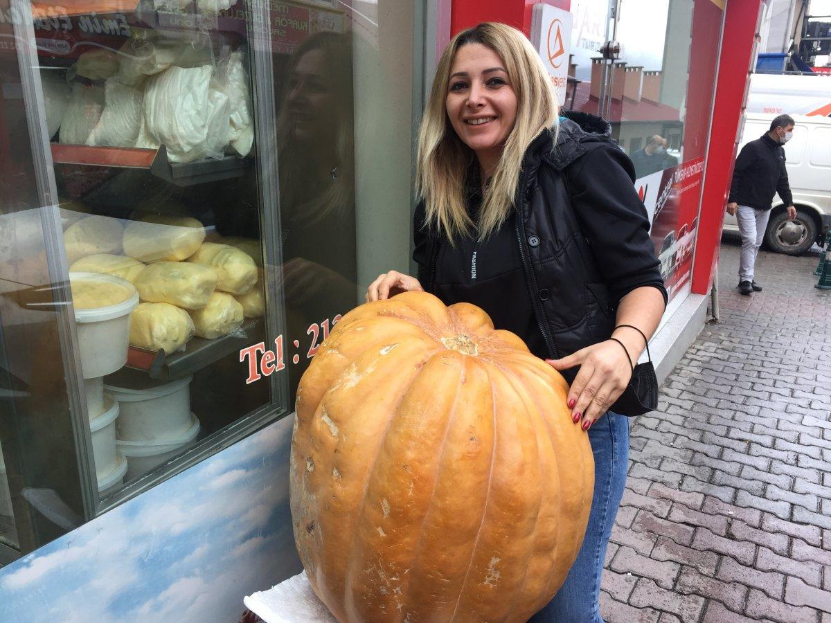 Artvin’de dev kabak sahibini bekliyor: Kilosunu bilene hediye edilecek