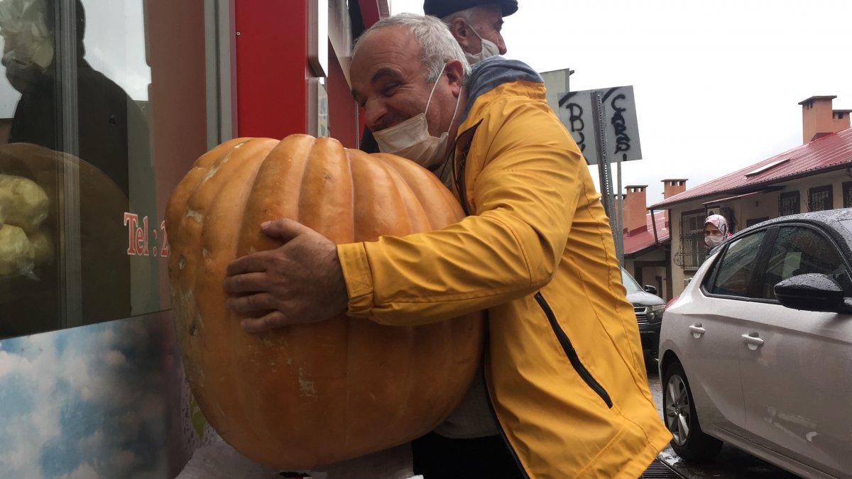 Artvin’de dev kabak sahibini bekliyor: Kilosunu bilene hediye edilecek