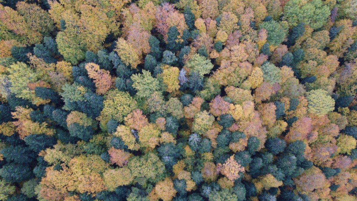 Ahmetusta Geçidi’nde renk cümbüşü