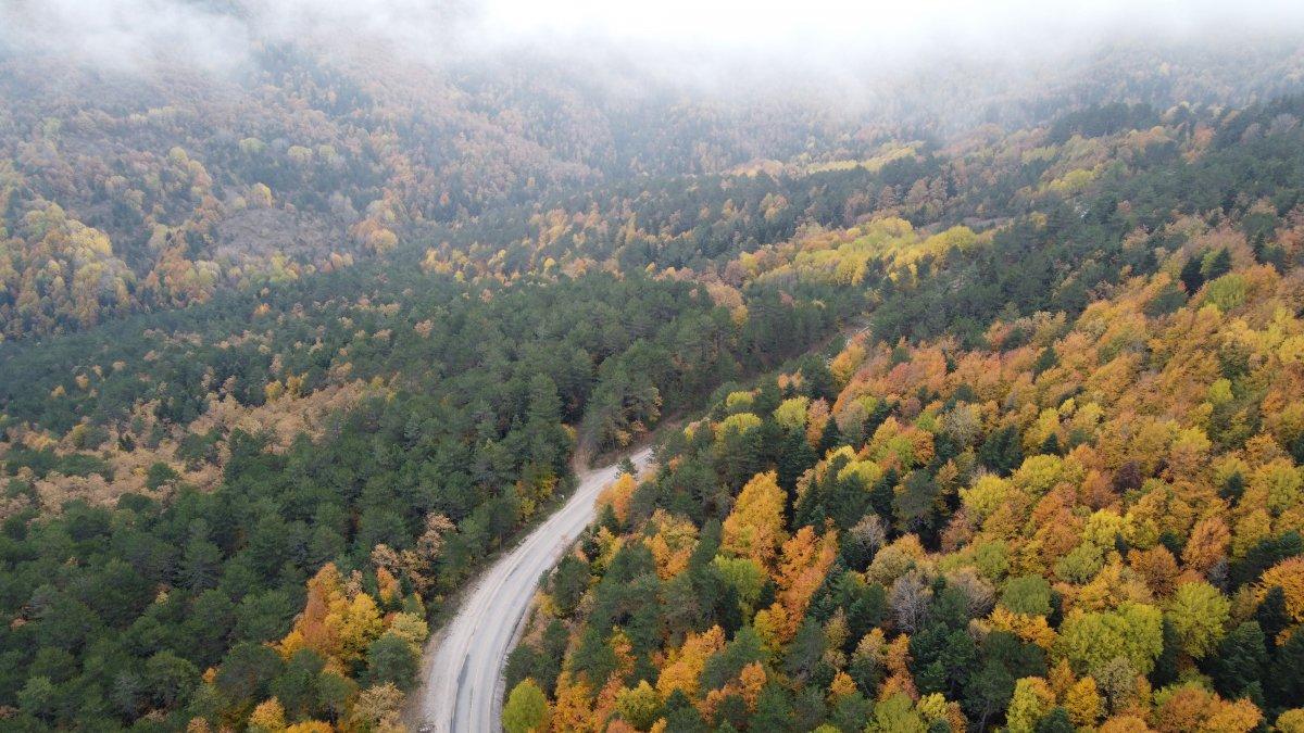 Ahmetusta Geçidi’nde renk cümbüşü