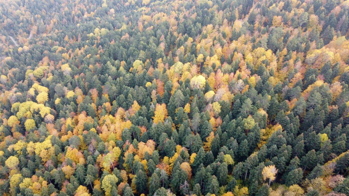 Ahmetusta Geçidi’nde renk cümbüşü