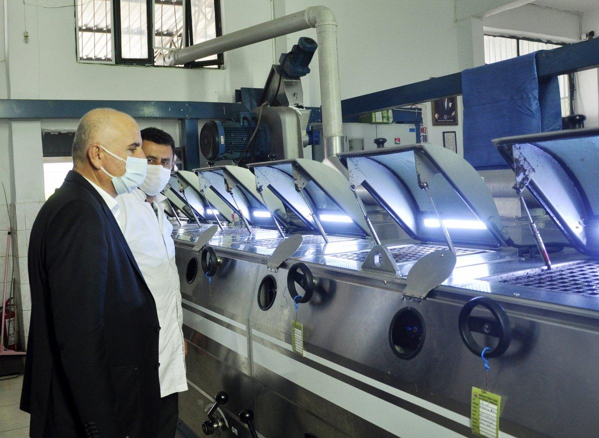 Merdiven altı zeytinyağı üretimine dikkat