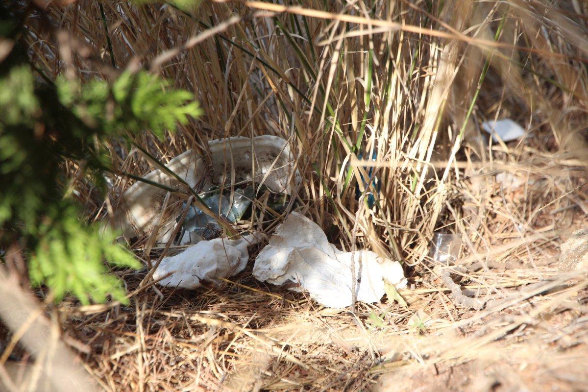 Salgında tıbbi atık kirliliğinin haritası: En çok Adana'dan bildirim gitti