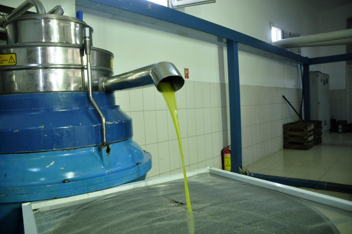 Merdiven altı zeytinyağı üretimine dikkat