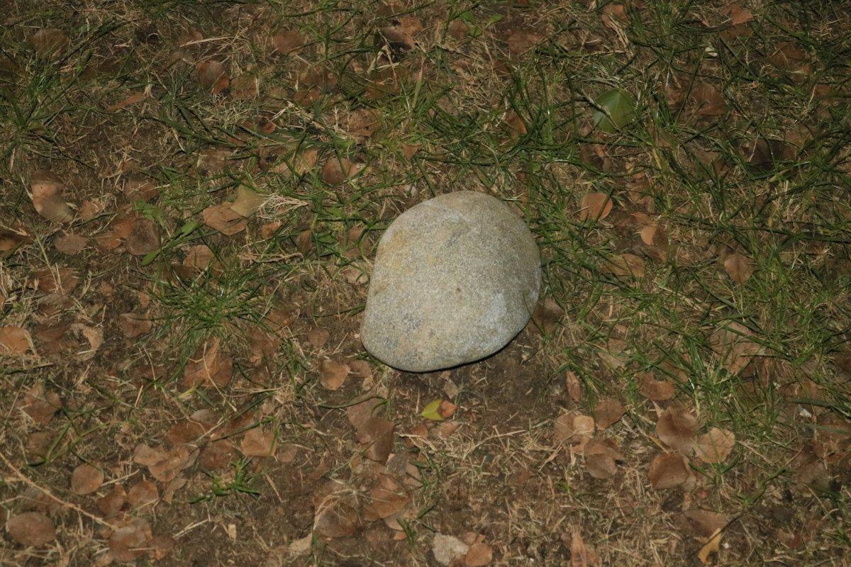 Adana'da maske takmayan iki kişi polise saldırdı