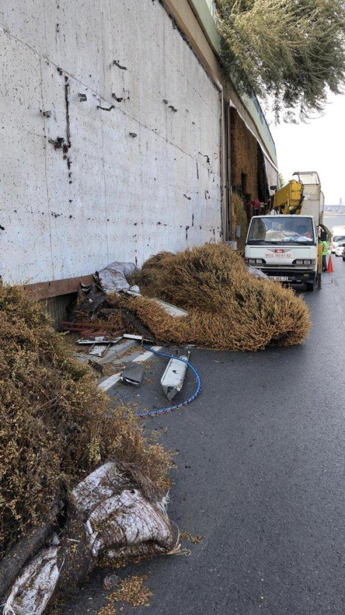 Balıkesir’in ‘dikey bahçe’ talebine İBB’den, ‘stres nedeniyle hayatını kaybettiler’ cevabı