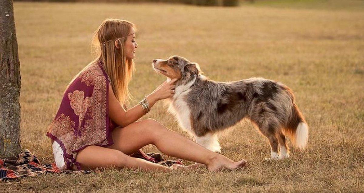 İspanyol akademisyenlerden koronavirüs analizi: Köpek sahipleri risk altında