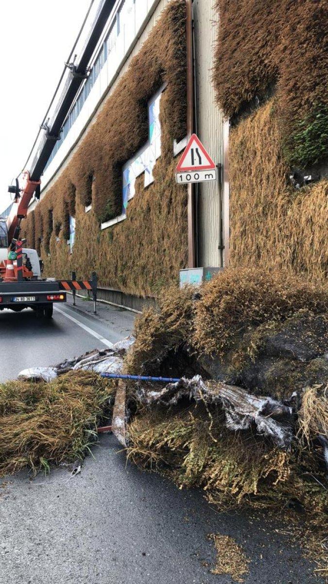 Balıkesir’in ‘dikey bahçe’ talebine İBB’den, ‘stres nedeniyle hayatını kaybettiler’ cevabı